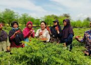 Titiek Soeharto Apresiasi Petani Lahan Pasir Bantul Yogya Terapkan Teknologi Smart Farming