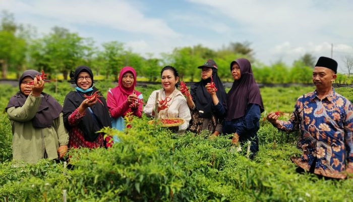 Titiek Soeharto Apresiasi Petani Lahan Pasir Bantul Yogya Terapkan Teknologi Smart Farming