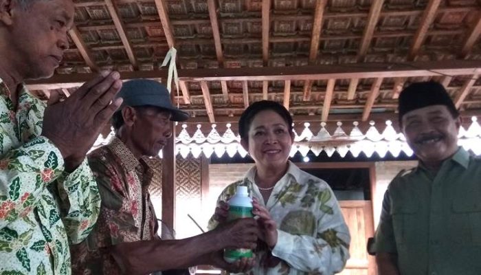 Terima Bantuan Pupuk Organik Dari Titiek Soeharto, Petani di Jatisarono: Selama Ini Kami Kesulitan