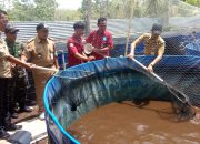 Remikan Koperasi Mina Mulya, Bupati Gunungkidul : Masyarakat Harus Mandiri Tidak Tergantung Bantuan Pemerintah Terus