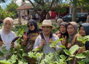 Ciptakan Daulat Pangan Lewat Kebijakan
