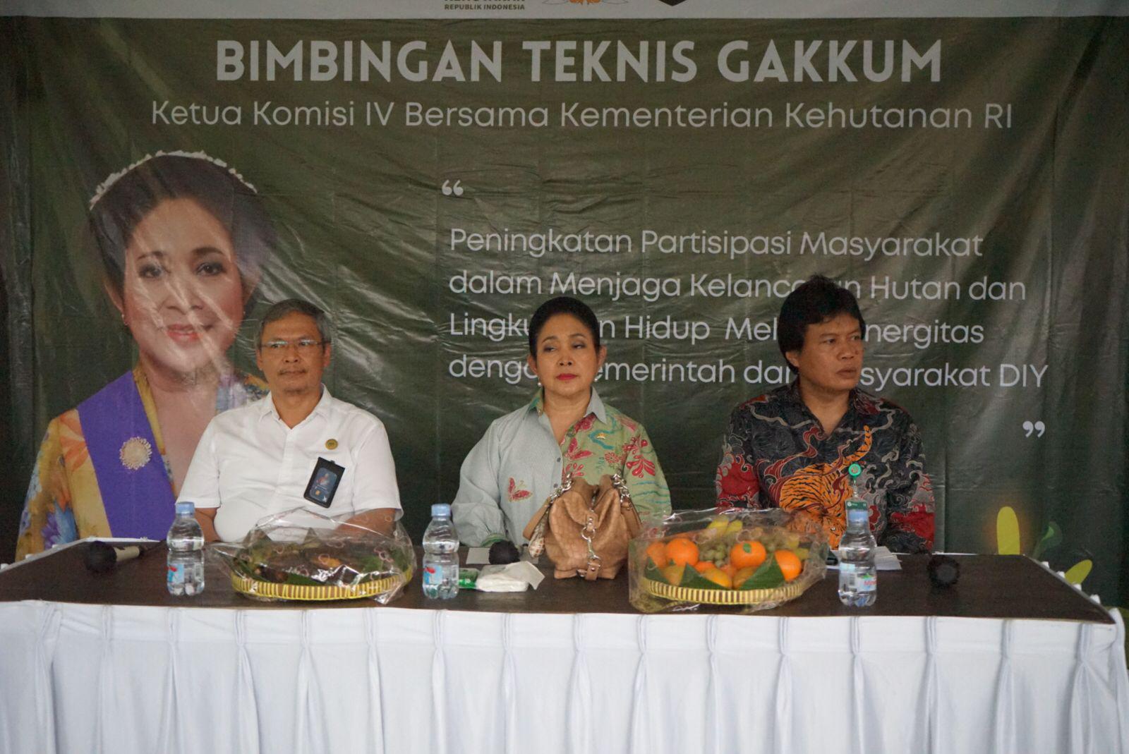 Langkah Legislasi Menuju Hutan yang Berkelanjutan