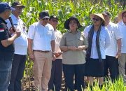 Gunungkidul Menjadi Lumbung Benih Nasional, Titiek Soeharto Beri Apresiasi
