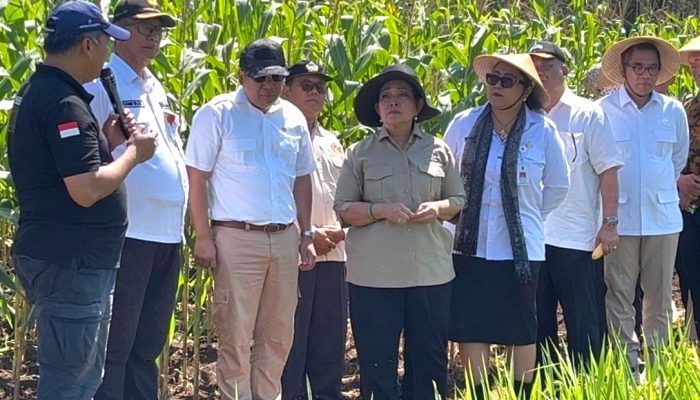 Gunungkidul Menjadi Lumbung Benih Nasional, Titiek Soeharto Beri Apresiasi