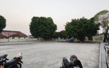 Dana Keistimewaan Disunat Rp200 Miliar: Cek Dampaknya
