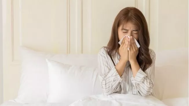 Kemarau Panjang Mengintai: Ancaman Penyakit & Tips Sehat